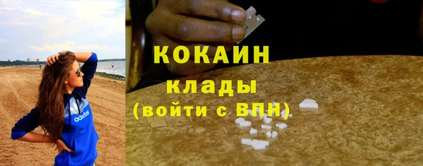 ГАЛЛЮЦИНОГЕННЫЕ ГРИБЫ Аркадак