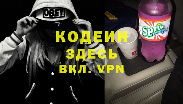 ГАЛЛЮЦИНОГЕННЫЕ ГРИБЫ Аркадак