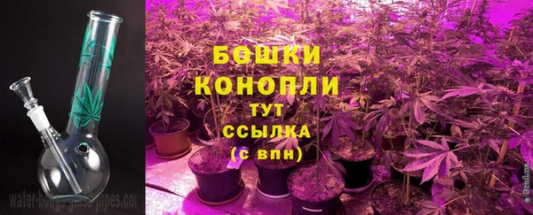шишки Алексеевка