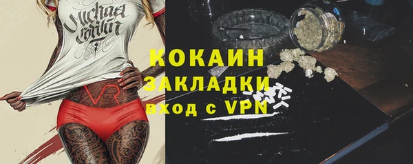 ГАЛЛЮЦИНОГЕННЫЕ ГРИБЫ Аркадак