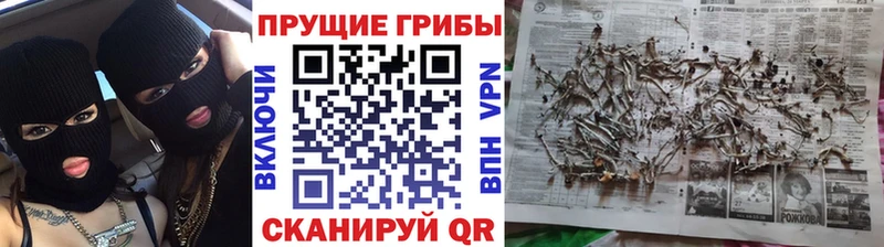 ссылка на мегу маркетплейс Шатура Псилоцибиновые грибы ЛСД
