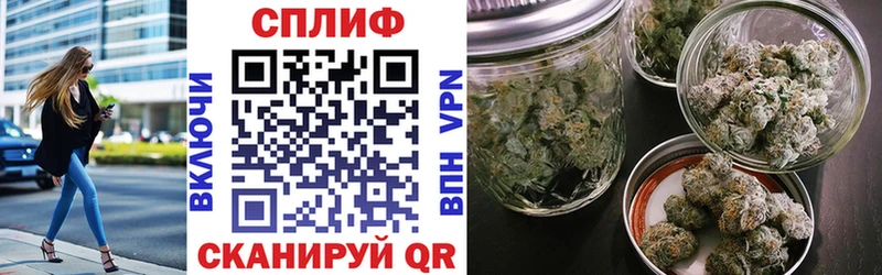 Шишки марихуана марихуана  mega как войти  Шатура 